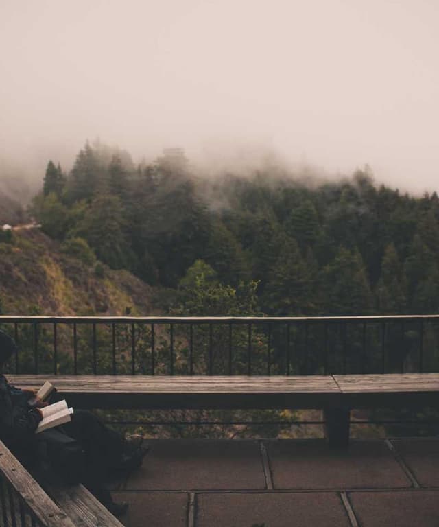 Freezack Single Dinner Bowl for Dogs