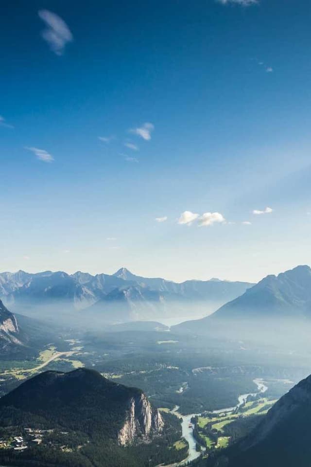 Curver Dog Food Container 10kg