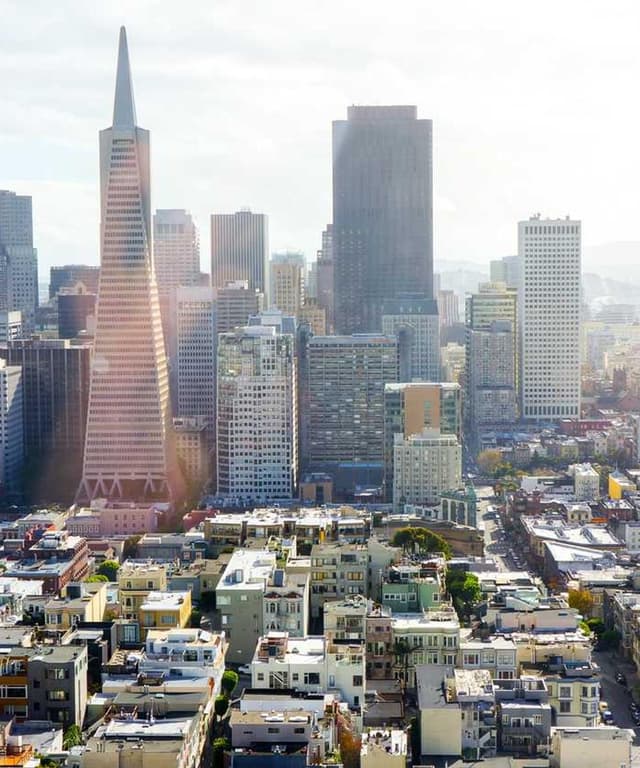 Freezack Single Dinner Bowl for Dogs