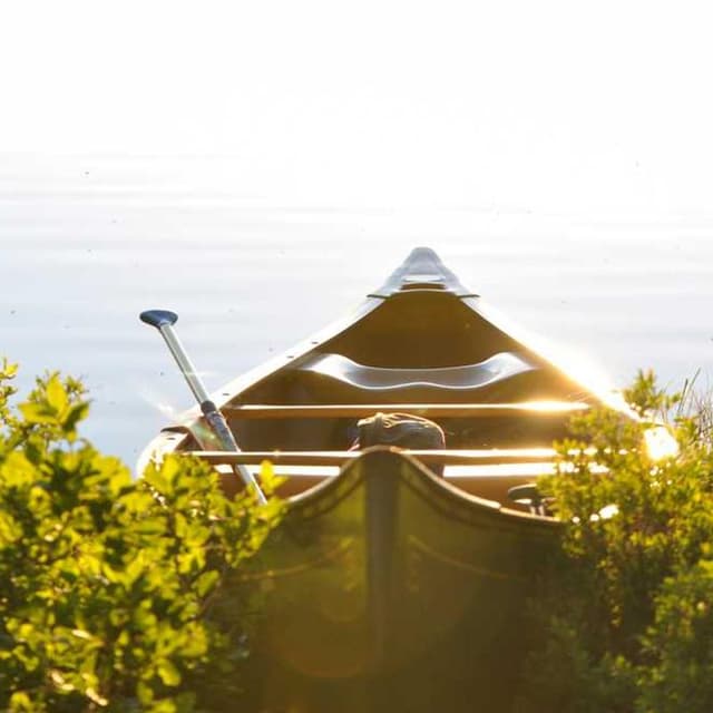 Furminator Deshedding Tool M