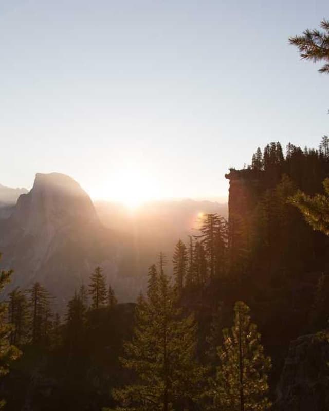 Freezack Single Dinner Bowl for Dogs