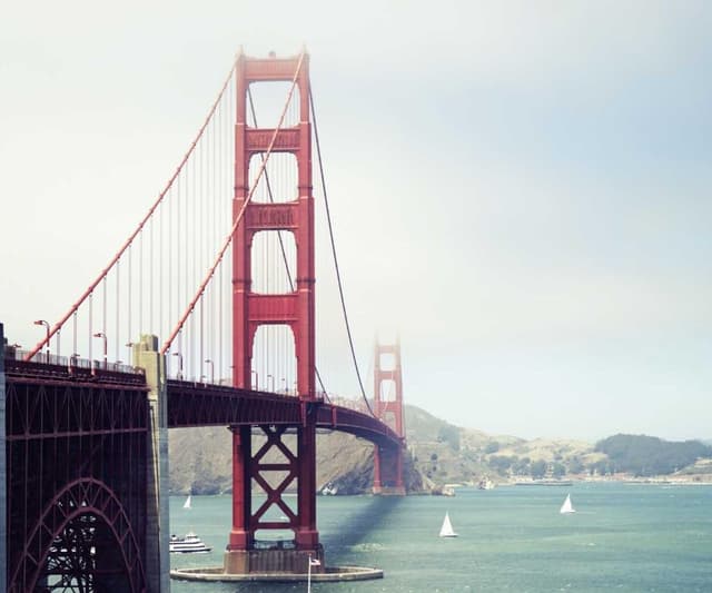 PetRebels Wall of Rebels scratching post