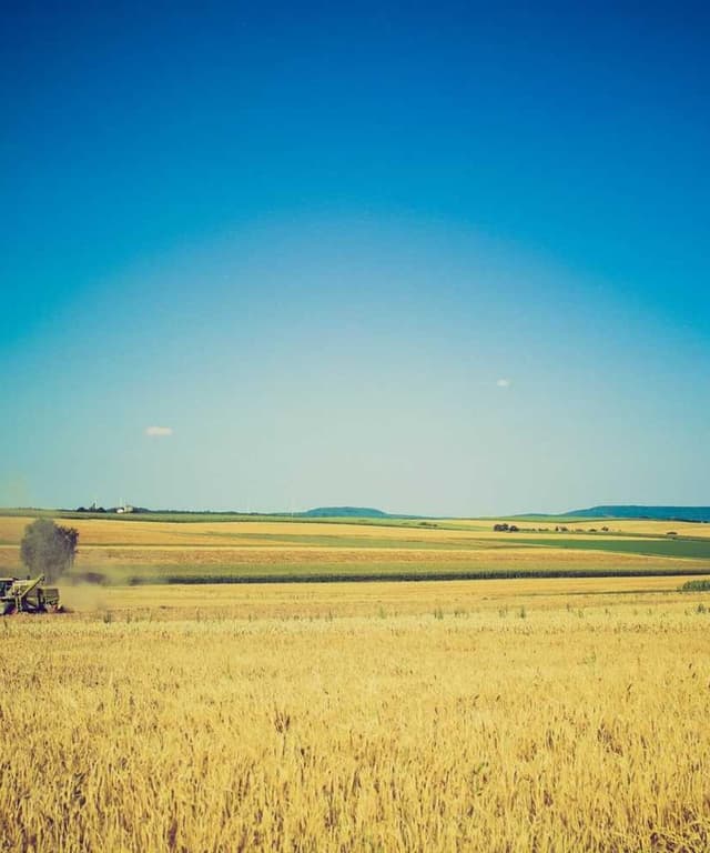 Royal Canin Urinary S/O