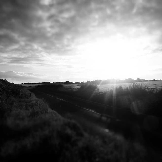 Curver Dog Food Container 10kg