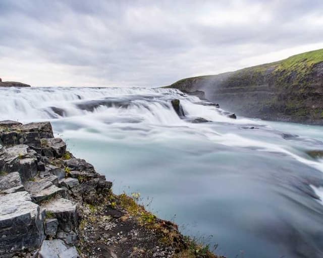 Freezack Single Dinner Bowl for Dogs
