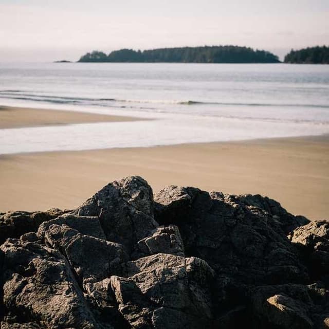 In-Fluence Eye Cleaner