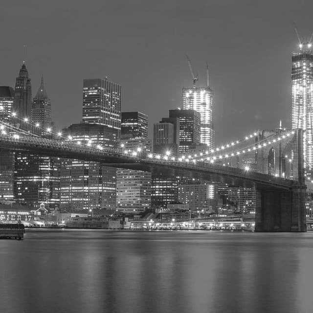 Flexi Leash New Classic S