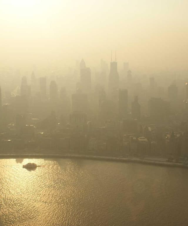 Furminator Deshedding Tool M