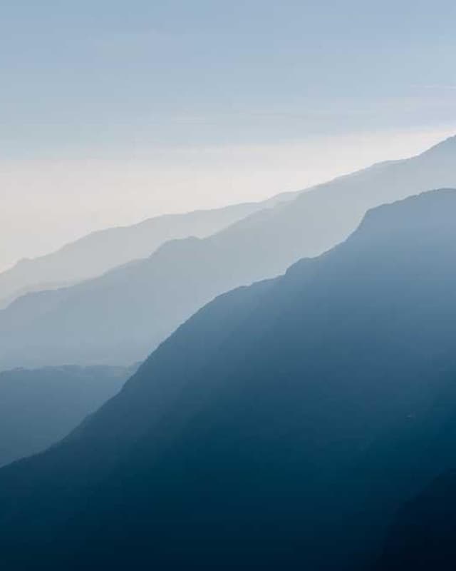 Furminator Deshedding Tool M