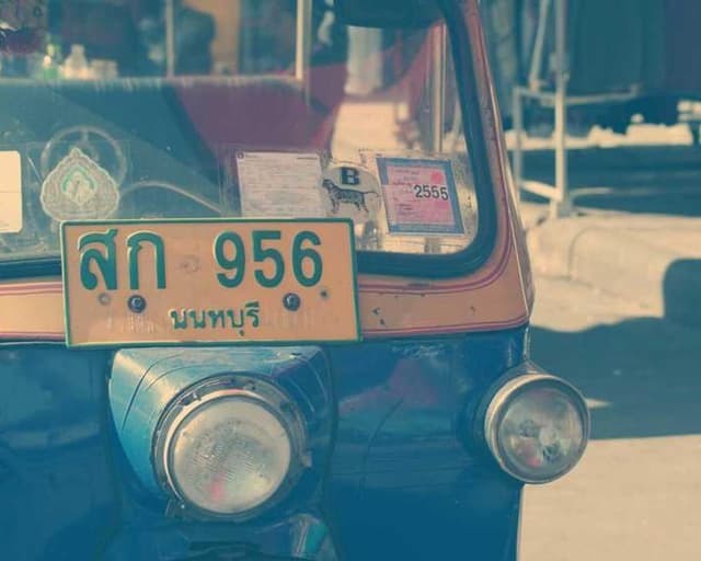 Flexi Leash New Classic S