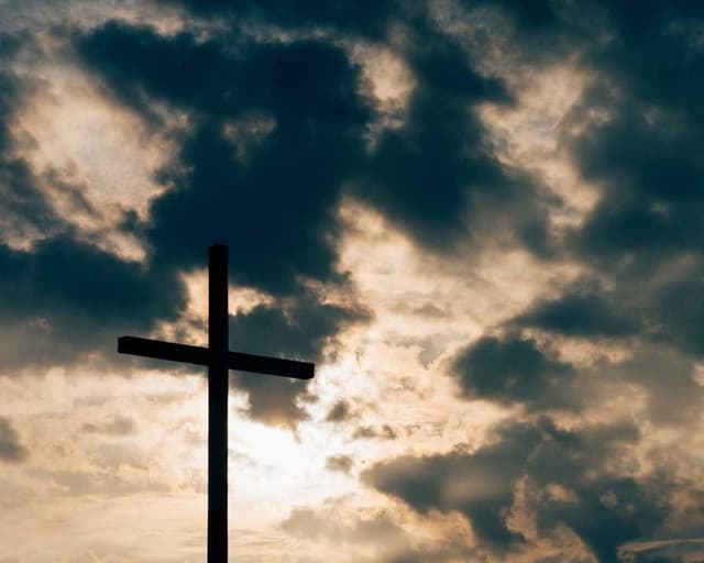 Flexi Leash New Classic S