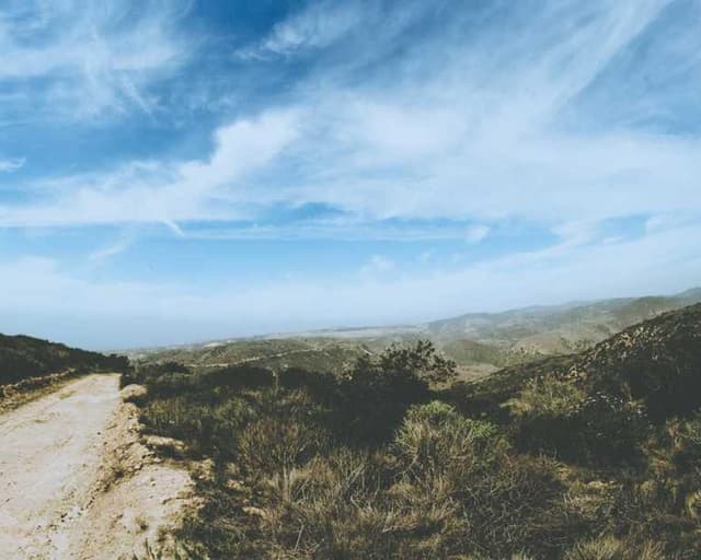 Trixie Cat Toy Mouse