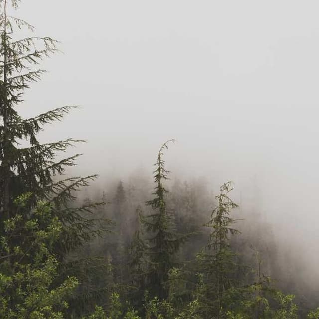 Royal Canin Urinary S/O