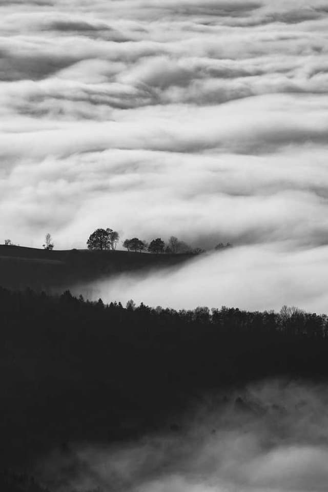 bePURE Liquid Chicken Snack