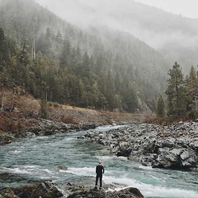 PetRebels Wall of Rebels scratching post