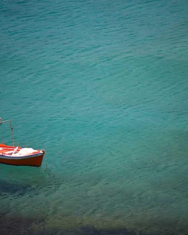 Curver Dog Food Container 10kg