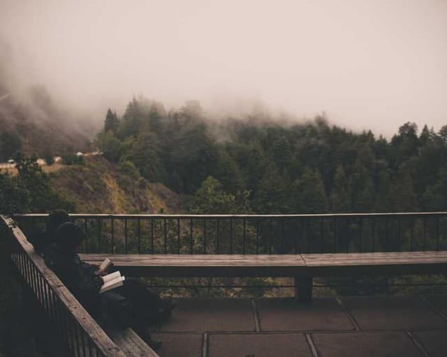 Flexi Leash New Classic S