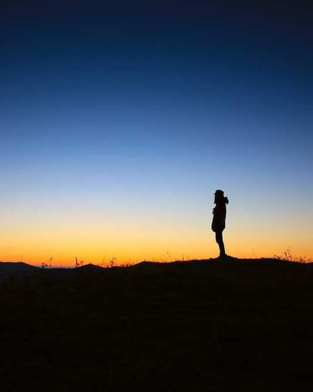 PetRebels Wall of Rebels scratching post