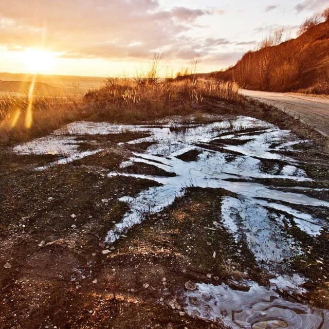 Trixie Cat Toy Mouse