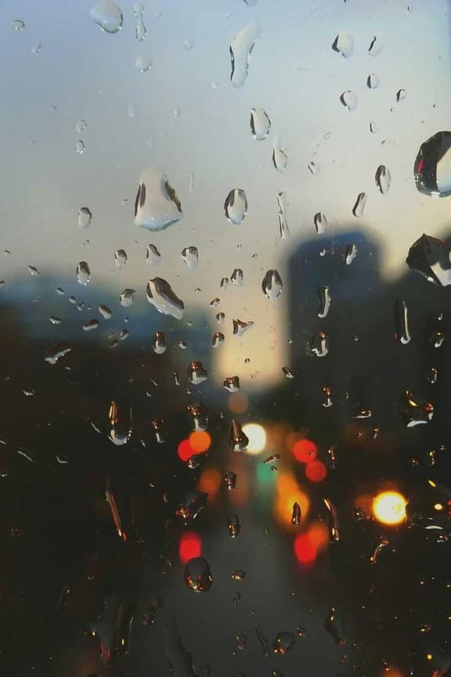 Flexi Leash New Classic S