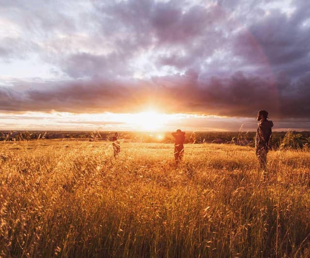 Trixie Cat Toy Mouse
