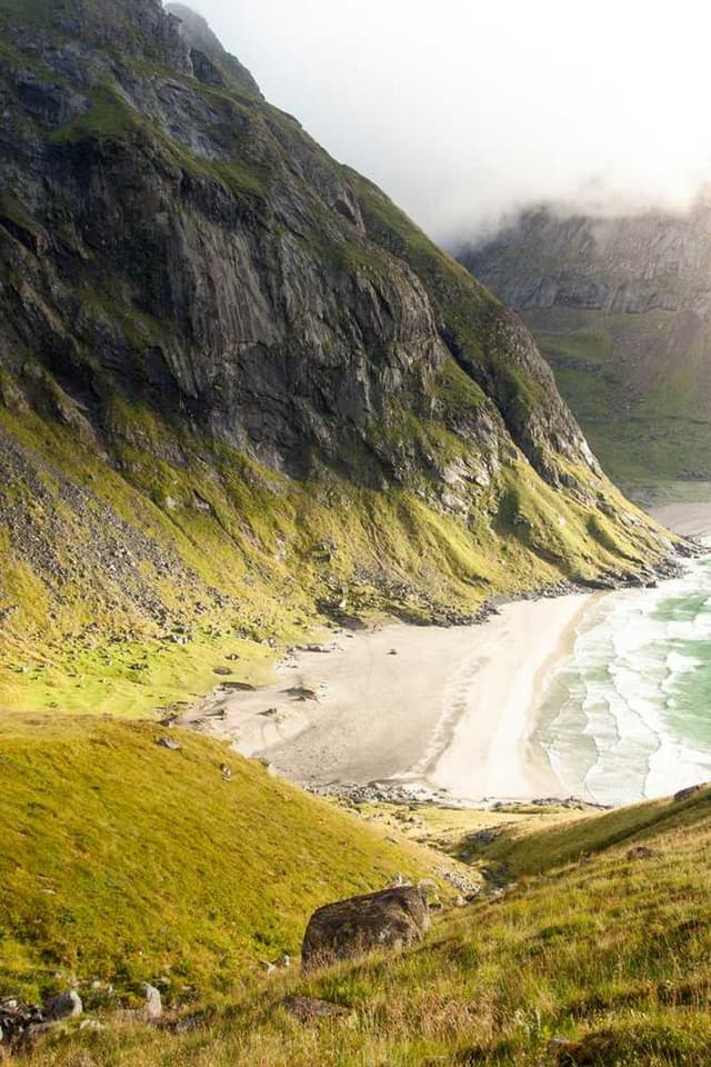 Flexi Leash New Classic S