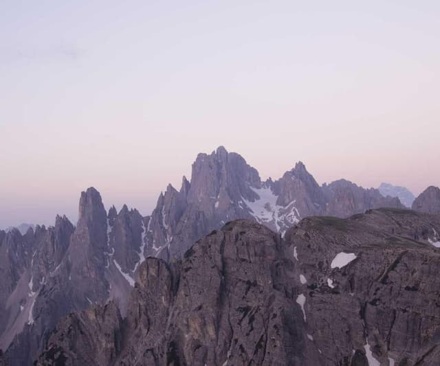 Flexi Leash New Classic S