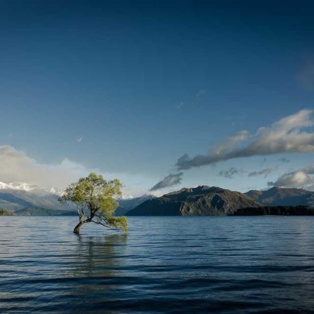 Trixie Cat Toy Mouse