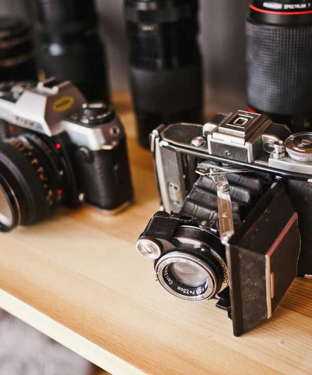 Curver Dog Food Container 10kg