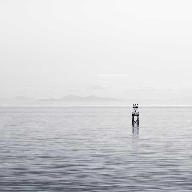 Trixie Cat Toy Mouse