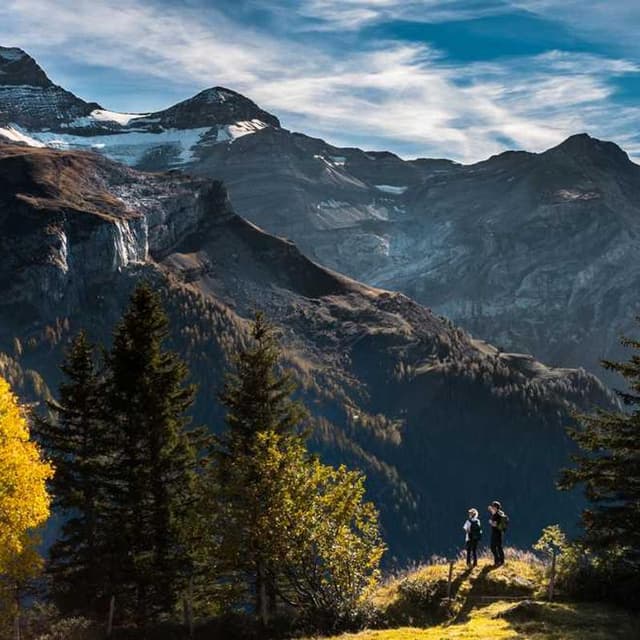 Furminator Deshedding Tool M