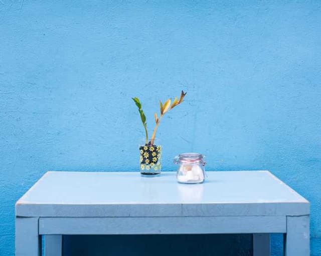 PetRebels Wall of Rebels scratching post