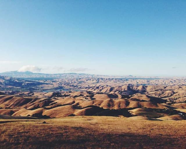 In-Fluence Eye Cleaner