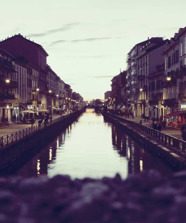 Freezack Single Dinner Bowl for Dogs