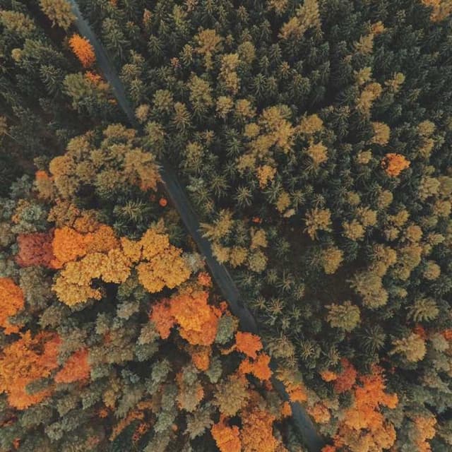 PetRebels Wall of Rebels scratching post