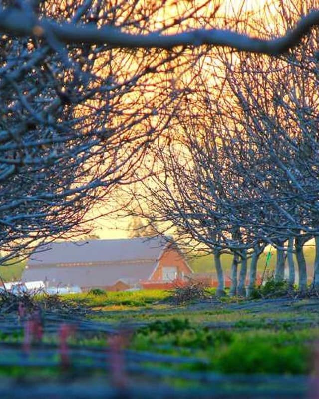Trixie Cat Toy Mouse