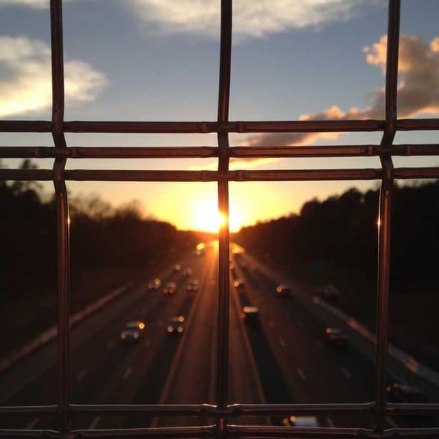 Furminator Deshedding Tool M