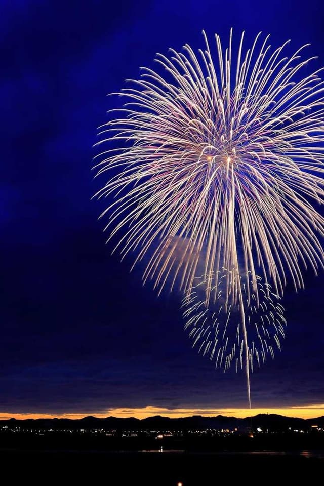 Furminator Deshedding Tool M