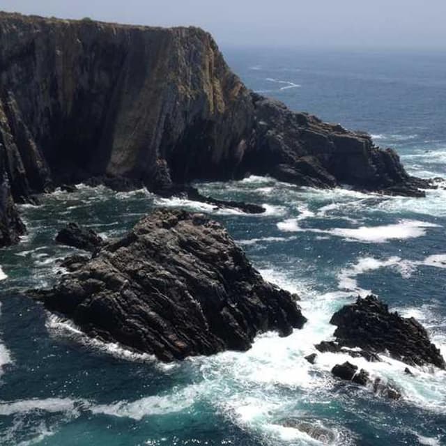 Freezack Single Dinner Bowl for Dogs