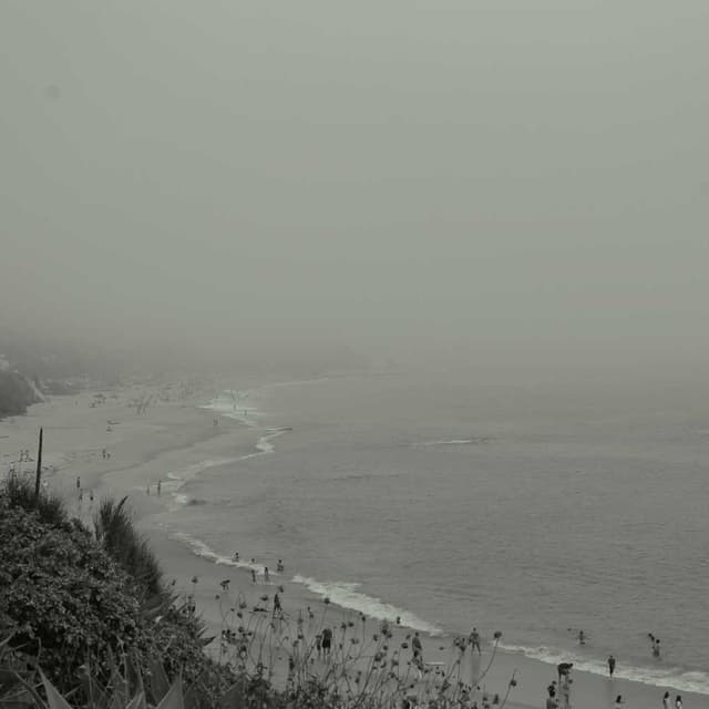 Trixie Jouet pour chat Souris