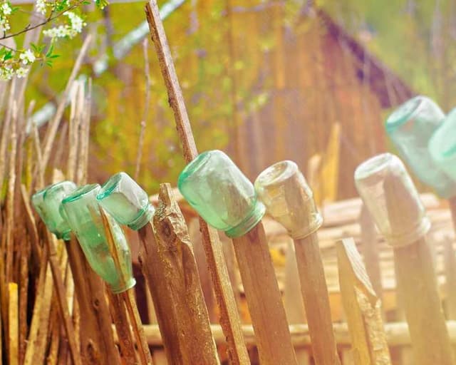 Freezack Single Dinner Gamelle pour chiens