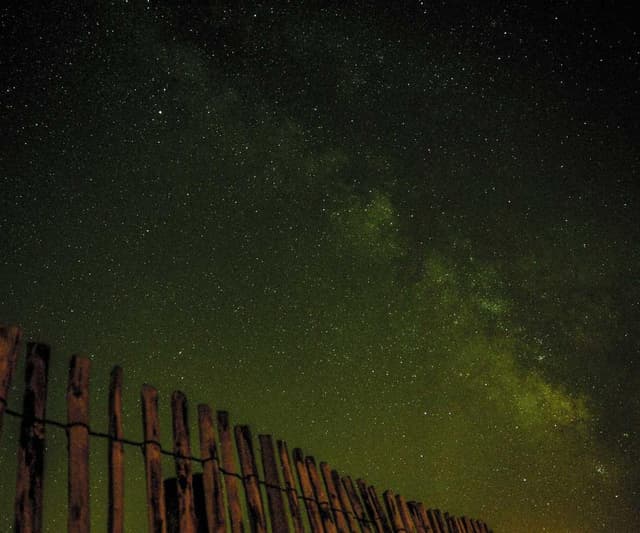 Curver Conteneur Croquettes Chien 10kg