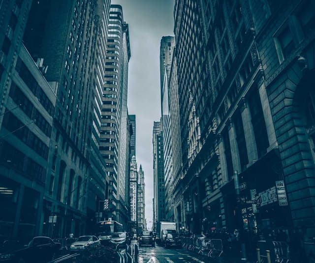 PetRebels Wall of Rebels Griffoir