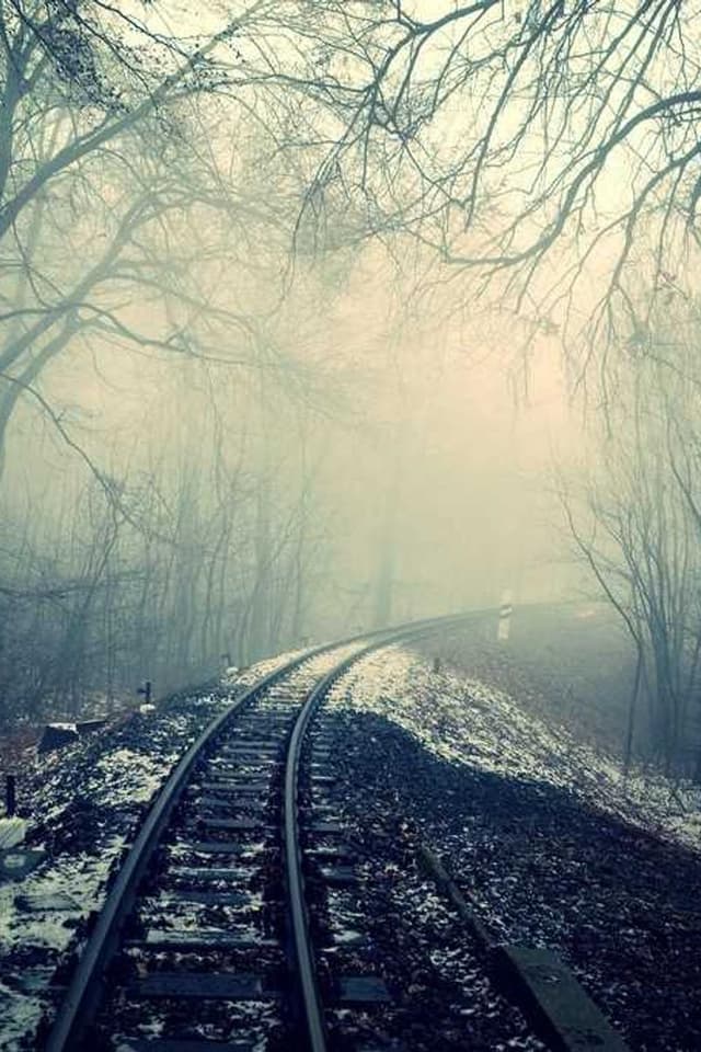 Trixie Jouet pour chat Souris