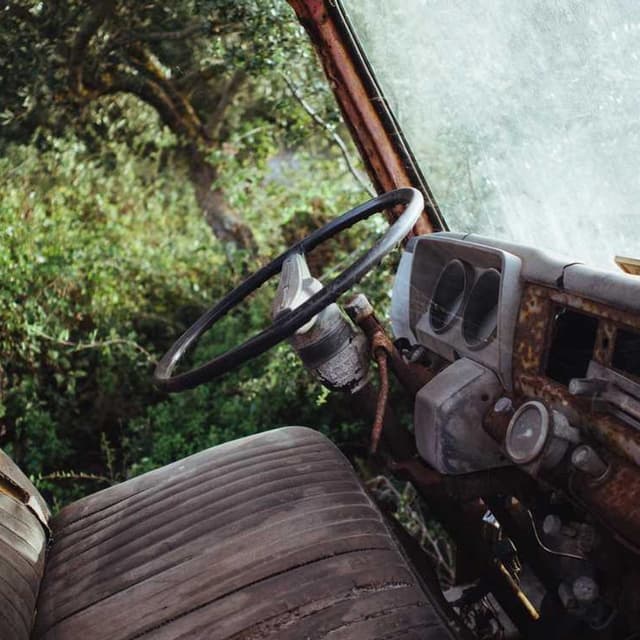 PetRebels Wall of Rebels Griffoir