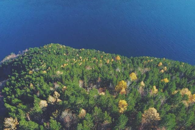 Swisspet Lit pour chien L