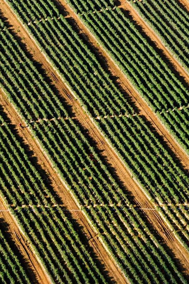 In-Fluence Nettoyant pour les yeux