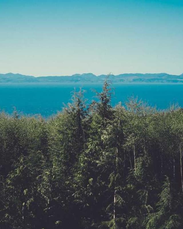 Curver Conteneur Croquettes Chien 10kg