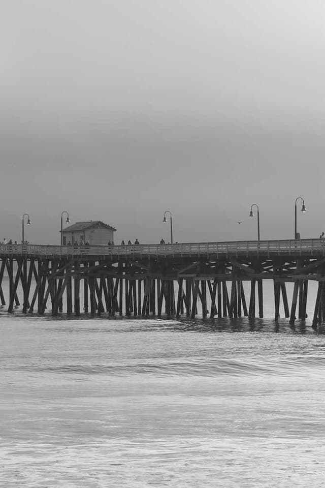 Collier Hunter Swiss