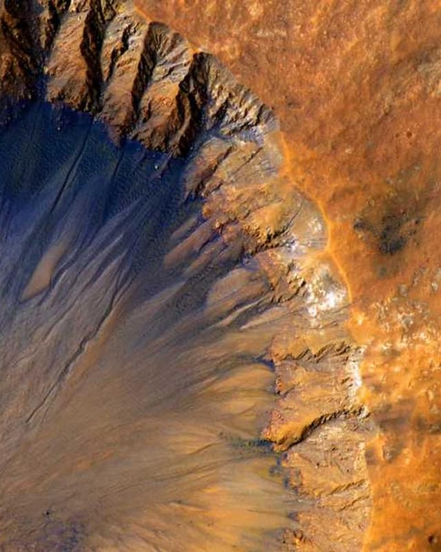 Curver Conteneur Croquettes Chien 10kg